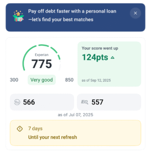Experian Charge-off / Collection Deletion Hack