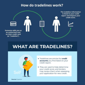 Primary Tradeline Hack
